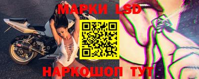 хмурый Кингисепп