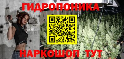 хмурый Кингисепп