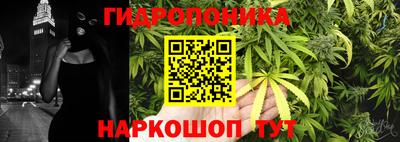 гидра Кимры