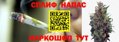 хмурый Кингисепп