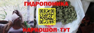 гидра Кимры