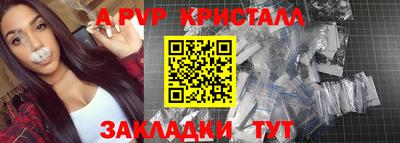 хмурый Кингисепп