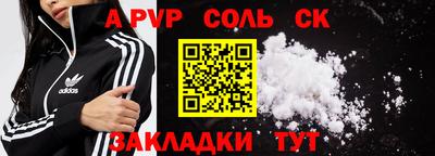 хмурый Кингисепп