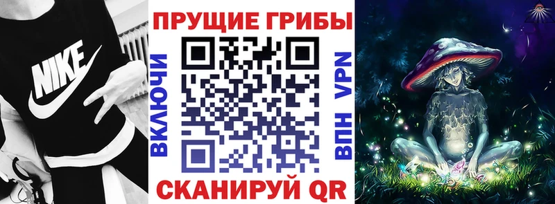 Псилоцибиновые грибы прущие грибы  Киров 