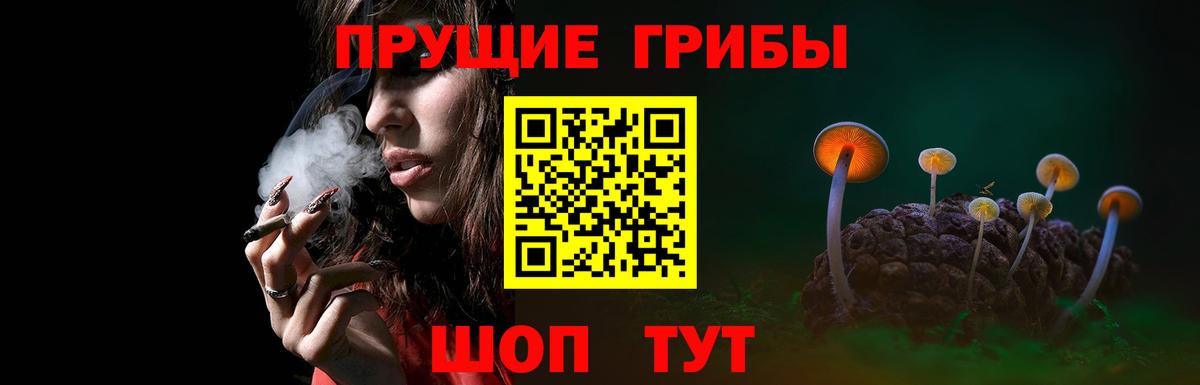 Киров  Галлюциногенные грибы Psilocybe  Вход с VPN 